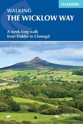 bokomslag Walking the Wicklow Way