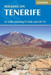 bokomslag Walking on Tenerife