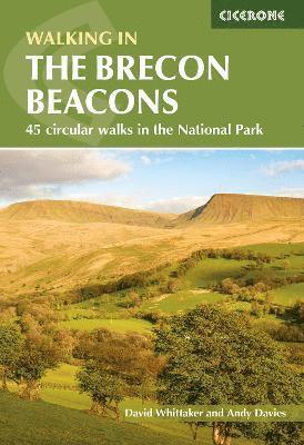 Andy Davies, David Whittaker - Walking in the Brecon Beacons, Häftad