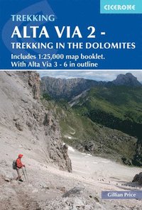 bokomslag Alta Via 2 - Trekking in the Dolomites