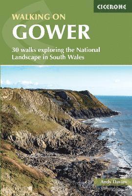 Andy Davies - Walking in Gower, Häftad