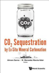 bokomslag Co2 Sequestration By Ex-situ Mineral Carbonation