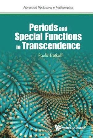 bokomslag Periods And Special Functions In Transcendence