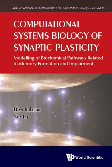 Don Kulasiri, Yao He - COMPUTATIONAL SYSTEMS BIOLOGY OF SYNAPTIC PLASTICITY: MODELLING OF BIOCHEMICAL PATHWAYS RELATED TO MEMORY FORMATION AND IMPAIREMENT, Inbunden