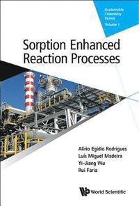bokomslag Sorption Enhanced Reaction Processes
