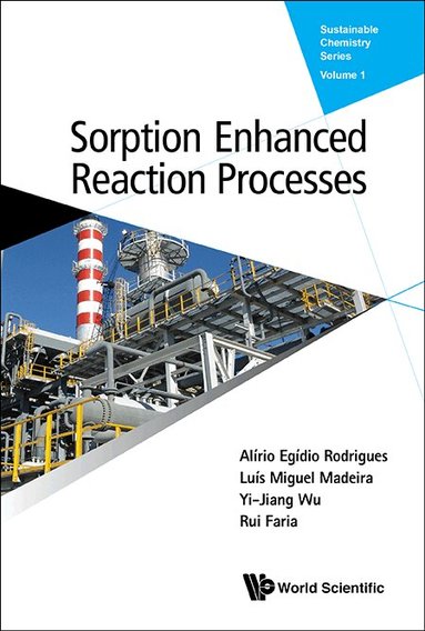 Alírio Egídio Rodrigues, Luís Miguel Madeira, Yi-Jiang Wu, Rui Faria - SORPTION ENHANCED REACTION PROCESSES, Inbunden
