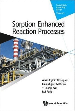 Sorption Enhanced Reaction Processes 1