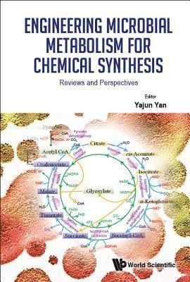 bokomslag Engineering Microbial Metabolism For Chemical Synthesis: Reviews And Perspectives