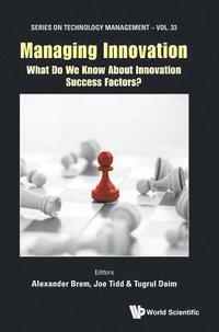 bokomslag Managing Innovation: What Do We Know About Innovation Success Factors?