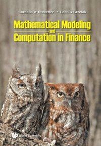 bokomslag Mathematical Modeling And Computation In Finance: With Exercises And Python And Matlab Computer Codes