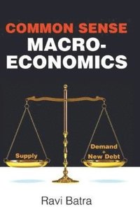 bokomslag Common Sense Macroeconomics