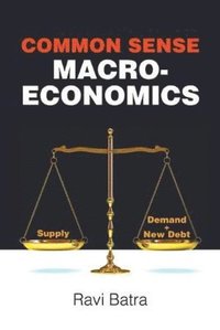 bokomslag Common Sense Macroeconomics