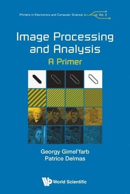 bokomslag Image Processing And Analysis: A Primer