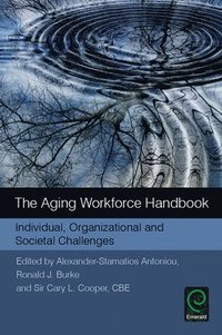 bokomslag The Aging Workforce Handbook