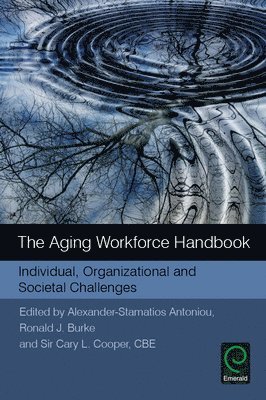 The Aging Workforce Handbook 1