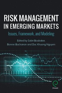 bokomslag Risk Management in Emerging Markets