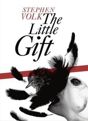 Stephen Volk - Little Gift, Inbunden