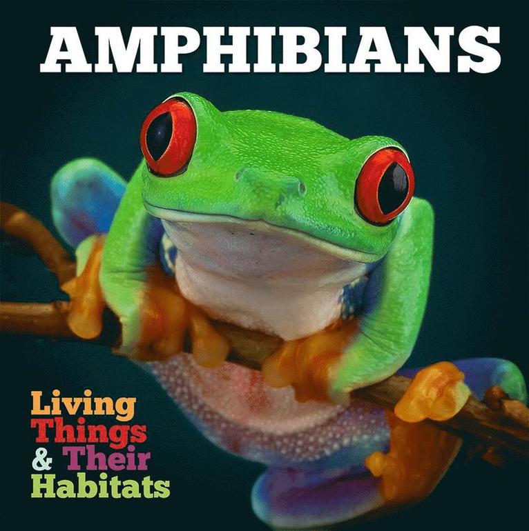 Amphibians 1