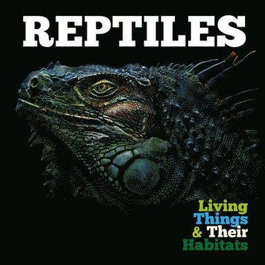 bokomslag Reptiles