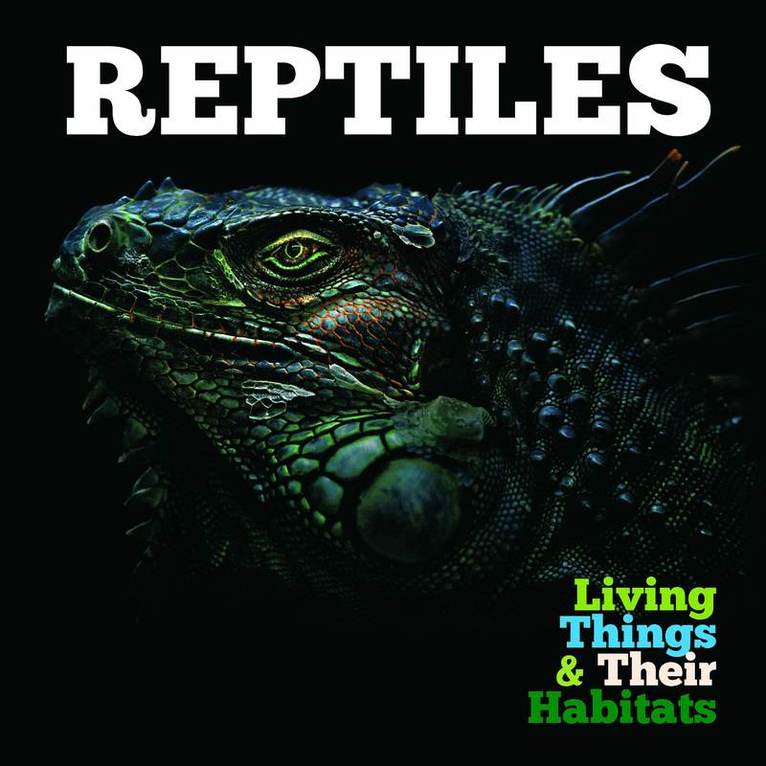 Reptiles 1