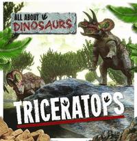 bokomslag Triceratops