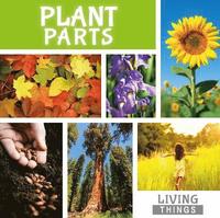 bokomslag Plant Parts
