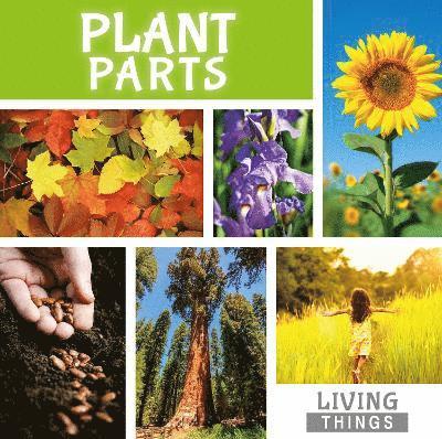 Steffi Cavell-Clarke - Plant Parts, Inbunden