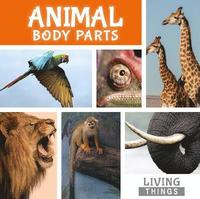 bokomslag Animal Body Parts