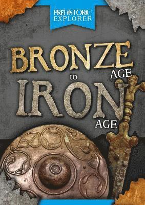 bokomslag Bronze Age to Iron Age