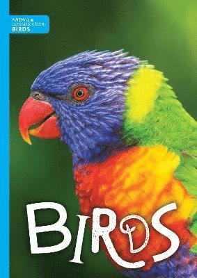 bokomslag Birds