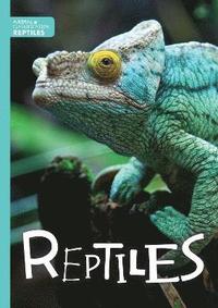 bokomslag Reptiles