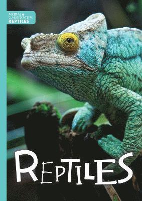 bokomslag Reptiles