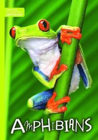 bokomslag Amphibians