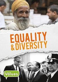 bokomslag Equality and Diversity