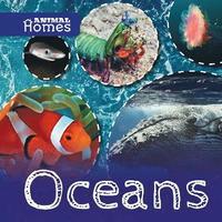 bokomslag Oceans