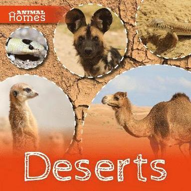 bokomslag Deserts