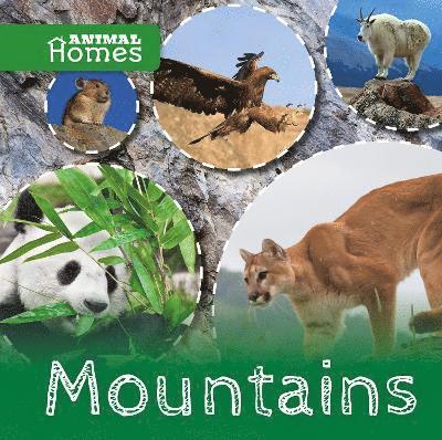 Mountains 1