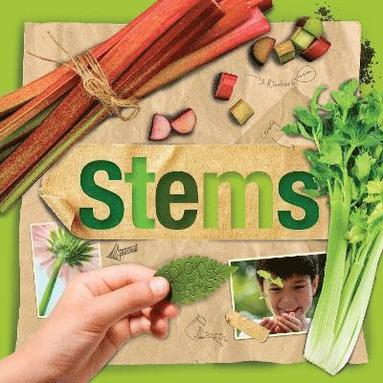 bokomslag Stems