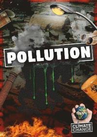 bokomslag Pollution