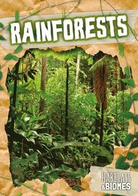 bokomslag Rainforests