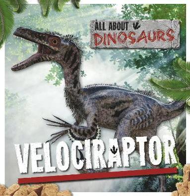 bokomslag Velociraptor