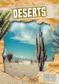 bokomslag Deserts