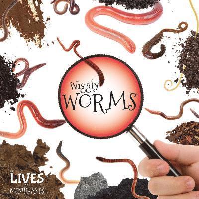 Wiggly Worms 1