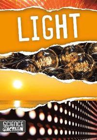 bokomslag Light