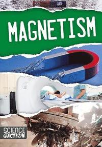 bokomslag Magnetism