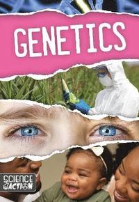 bokomslag Genetics
