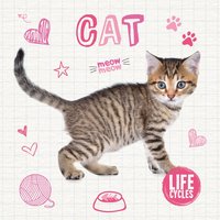 bokomslag Cat
