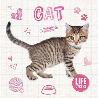 bokomslag Cat