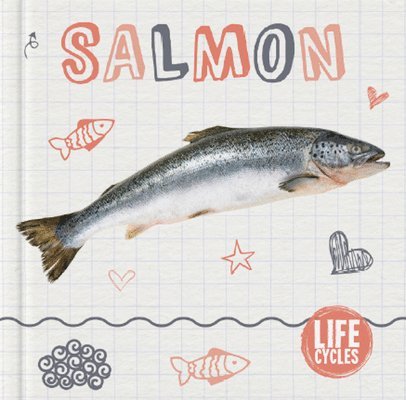 Salmon 1