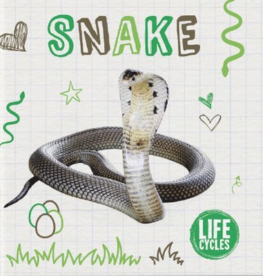 bokomslag Snake